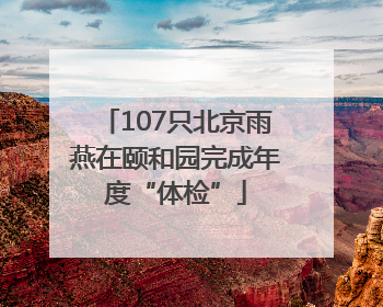 107只北京雨燕在颐和园完成年度“体检”