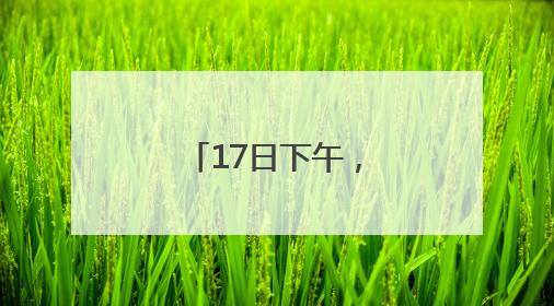 17日下午，到上海路万达广场“问招”去