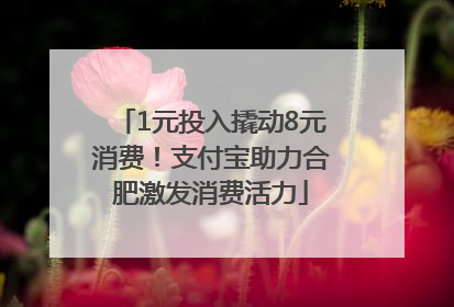 1元投入撬动8元消费！支付宝助力合肥激发消费活力