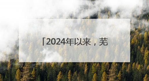 2024年以来，芜湖累计发放孤儿生活保障金2758万元