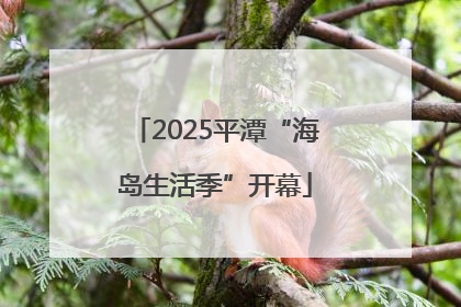 2025平潭“海岛生活季”开幕