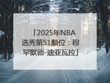 2025年NBA选秀第51顺位：穆罕默德-迪亚瓦拉