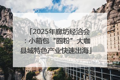 2025年廊坊经洽会：小箱包“圈粉”大咖 县域特色产业快速出海