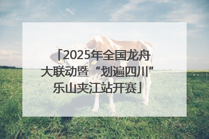 2025年全国龙舟大联动暨“划遍四川”乐山夹江站开赛