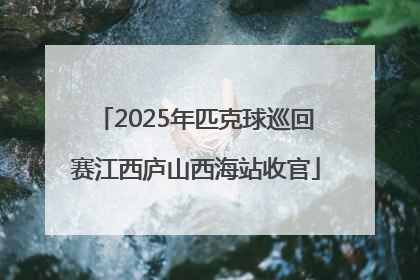 2025年匹克球巡回赛江西庐山西海站收官