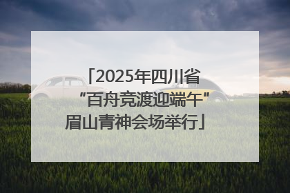 2025年四川省“百舟竞渡迎端午”眉山青神会场举行