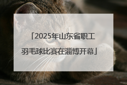 2025年山东省职工羽毛球比赛在淄博开幕