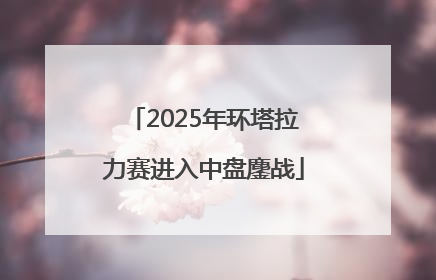 2025年环塔拉力赛进入中盘鏖战
