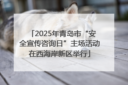 2025年青岛市“安全宣传咨询日”主场活动在西海岸新区举行