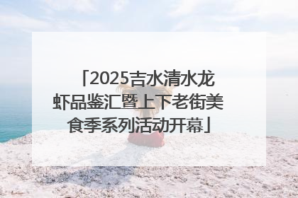 2025吉水清水龙虾品鉴汇暨上下老街美食季系列活动开幕