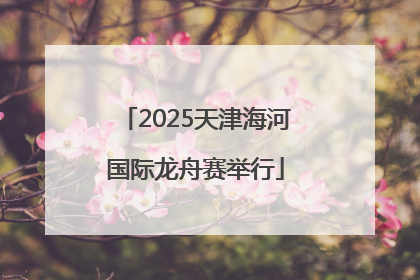 2025天津海河国际龙舟赛举行
