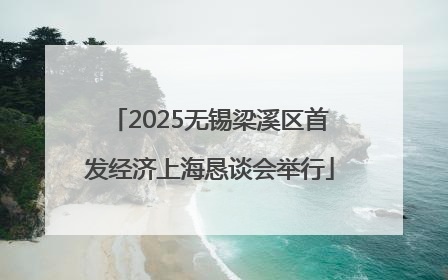 2025无锡梁溪区首发经济上海恳谈会举行