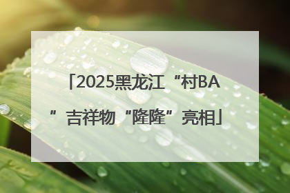 2025黑龙江“村BA”吉祥物“隆隆”亮相