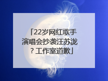 22岁网红歌手演唱会抄袭汪苏泷？工作室道歉