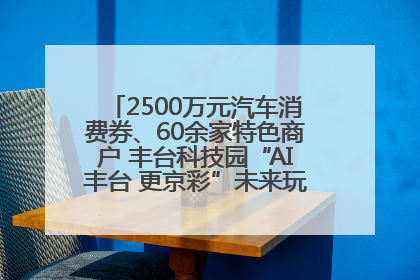 2500万元汽车消费券、60余家特色商户 丰台科技园“AI丰台 更京彩”未来玩家市集活动正式开幕