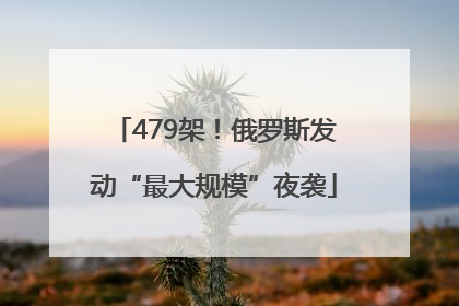 479架！俄罗斯发动“最大规模”夜袭