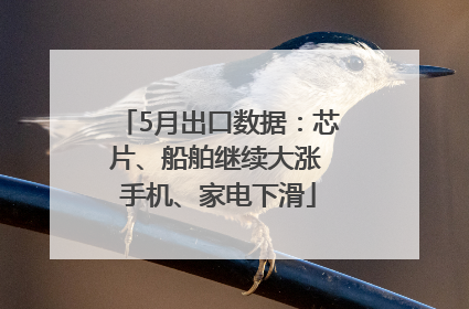 5月出口数据：芯片、船舶继续大涨 手机、家电下滑