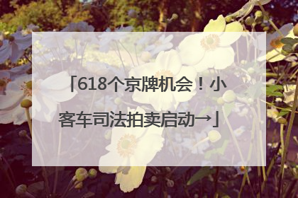 618个京牌机会！小客车司法拍卖启动→