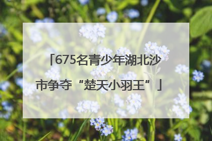 675名青少年湖北沙市争夺“楚天小羽王”