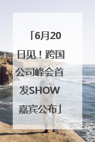 6月20日见！跨国公司峰会首发SHOW嘉宾公布
