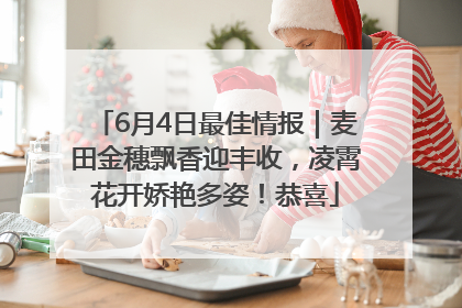 6月4日最佳情报｜麦田金穗飘香迎丰收，凌霄花开娇艳多姿！恭喜