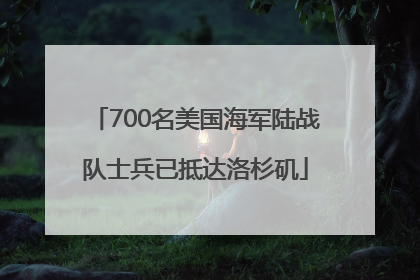 700名美国海军陆战队士兵已抵达洛杉矶