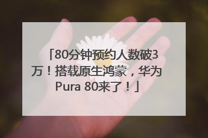 80分钟预约人数破3万！搭载原生鸿蒙，华为Pura 80来了！