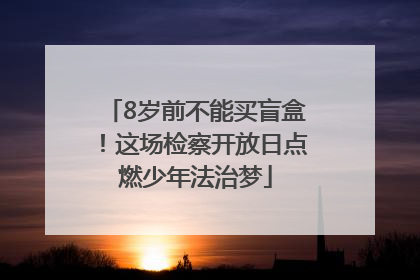 8岁前不能买盲盒！这场检察开放日点燃少年法治梦