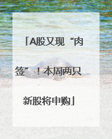 A股又现“肉签”！本周两只新股将申购