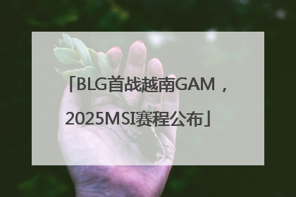 BLG首战越南GAM，2025MSI赛程公布