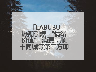 LABUBU 热潮引爆 “情绪价值” 消费，顺丰同城等第三方即配乘风而起