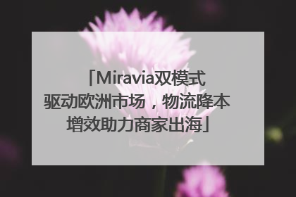 Miravia双模式驱动欧洲市场，物流降本增效助力商家出海