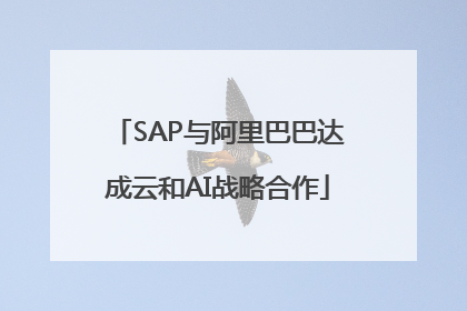 SAP与阿里巴巴达成云和AI战略合作